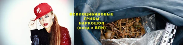 jwh Алзамай