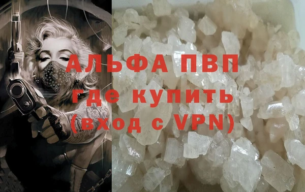 стаф Алексин