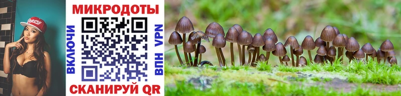 shop наркотические препараты Зуевка Галлюциногенные грибы Cubensis где можно купить